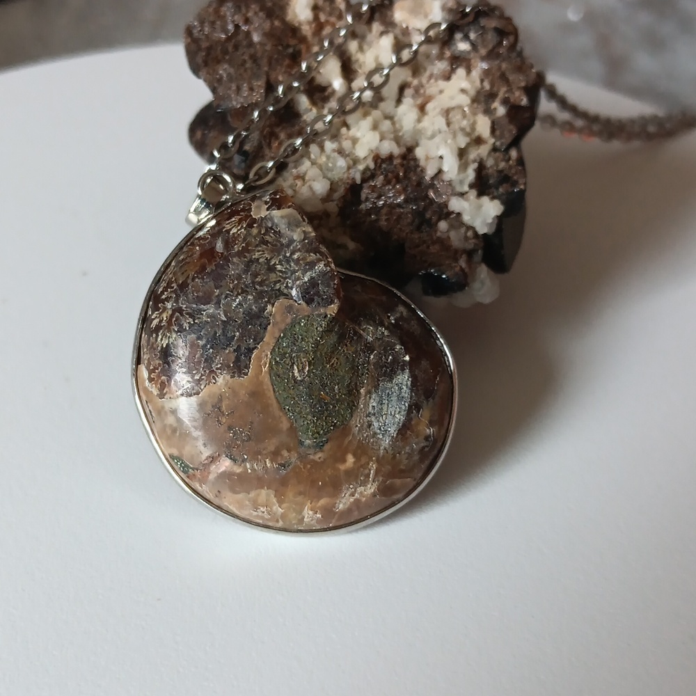 Ammonite Pendant Necklace - Picture 3 of 3